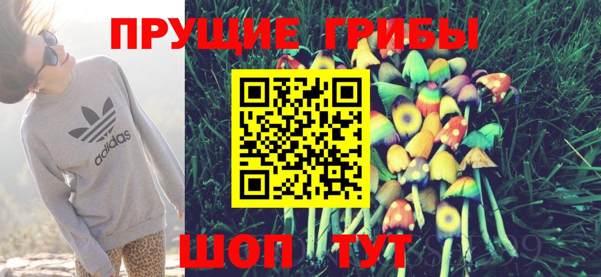 Псилоцибиновые грибы Psilocybine cubensis Нурлат